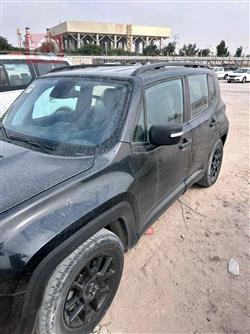 جيب رينيجيد